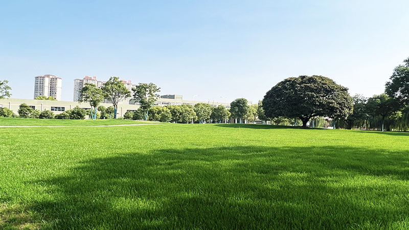 森霸傳感器工廠(chǎng)